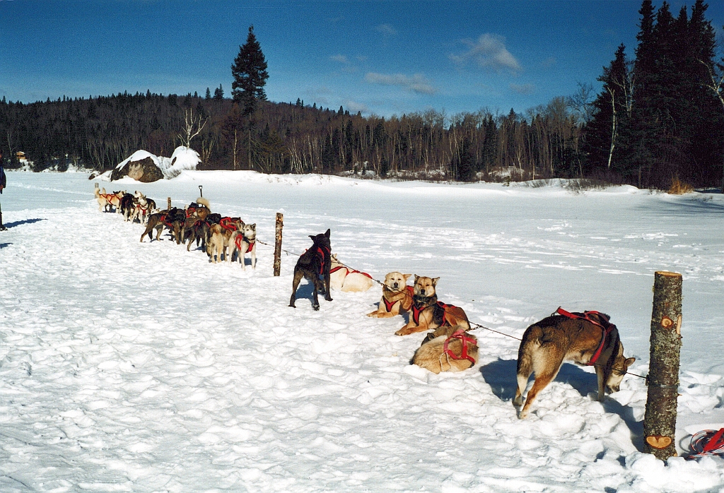 2001 - Canada 18.jpg